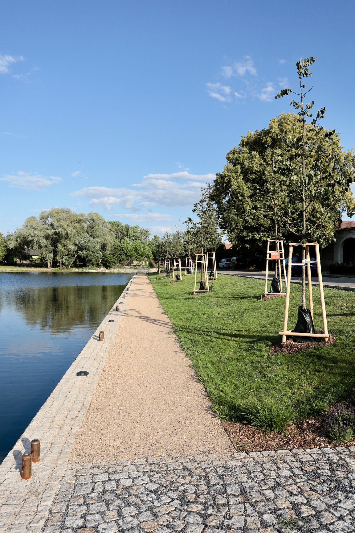 Revitalizace Salvátorského rybníku v Přerově nad Labem
